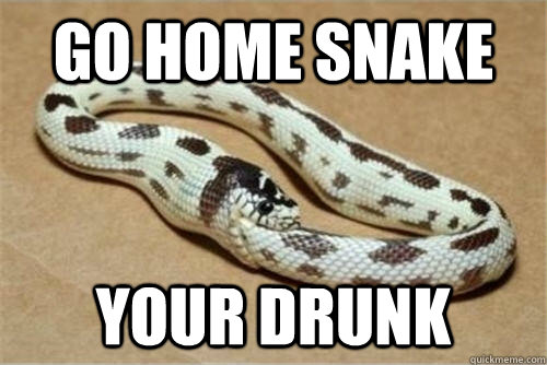 go home snake  your drunk  GO HOME SNAKE