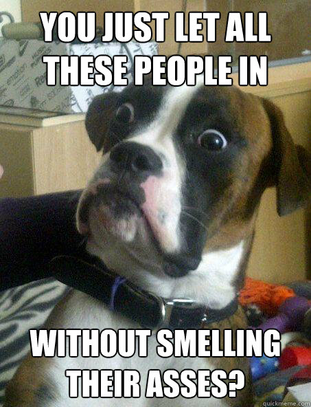 you just let all these people in without smelling their asses? - you just let all these people in without smelling their asses?  Baffled boxer