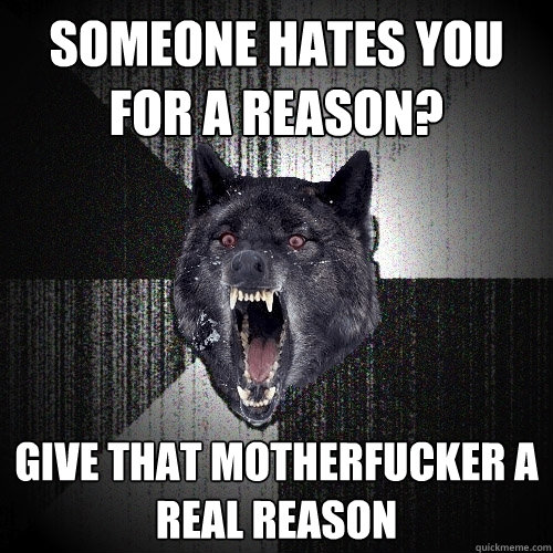 someone hates you for a reason? give that motherfucker a real reason  Insanity Wolf