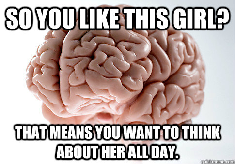 so you like this girl? that means you want to think about her all day.  Scumbag Brain