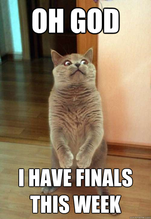 Oh God I have finals this week  Horrorcat