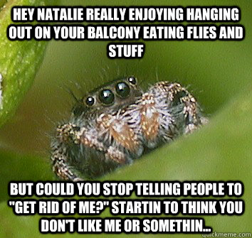 Hey Natalie really enjoying hanging out on your balcony eating flies and stuff but could you stop telling people to 
