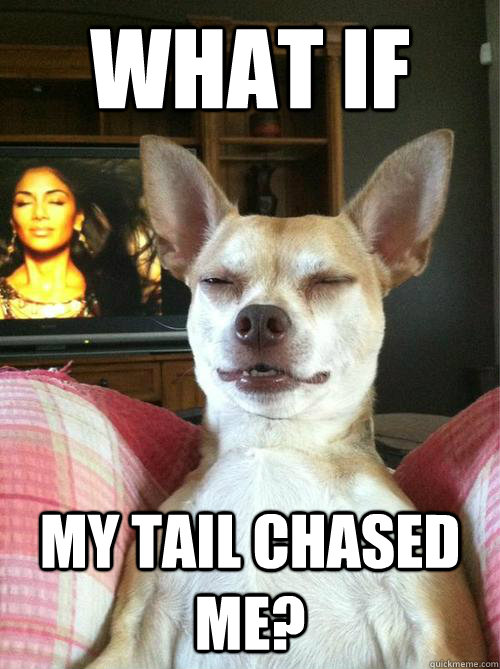 What if  My tail chased me?  