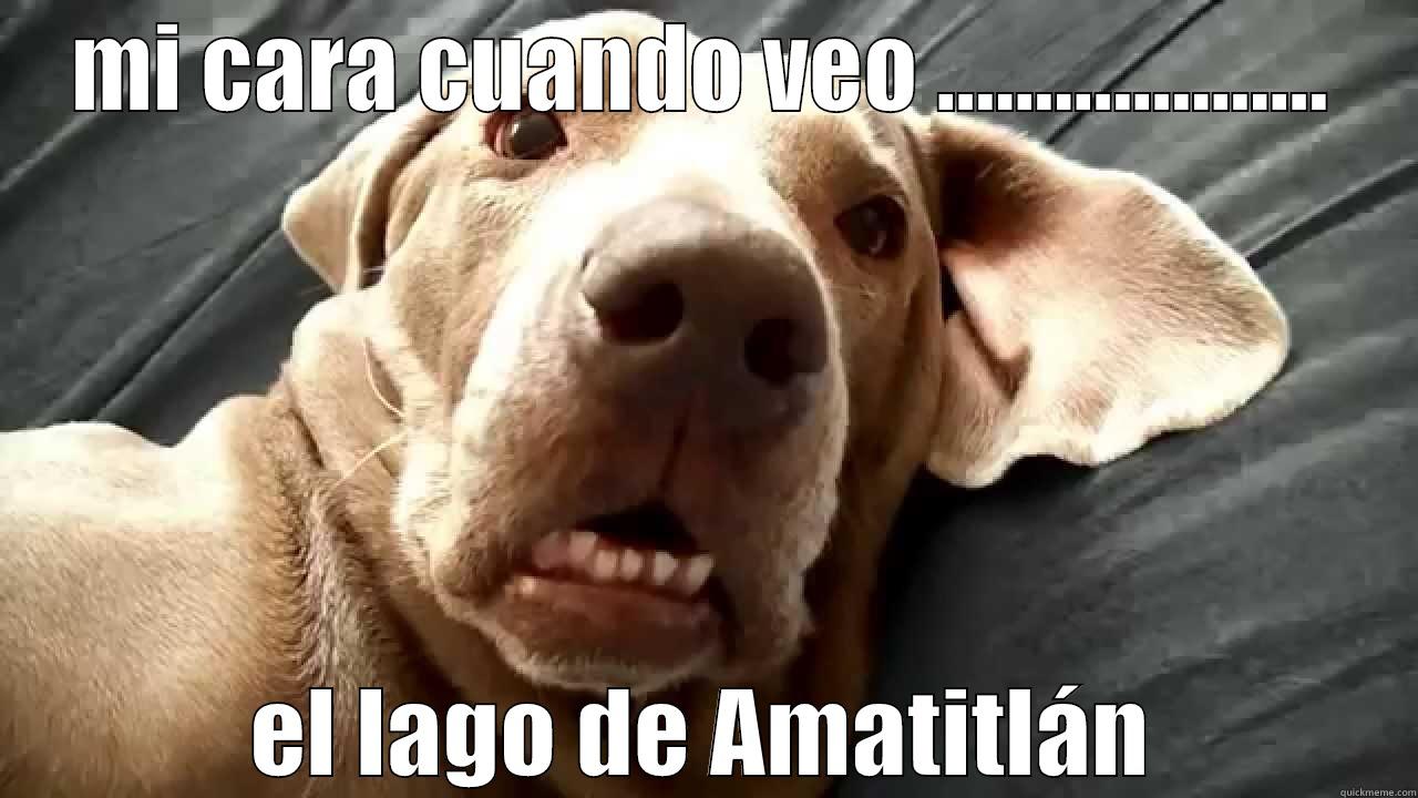 MI CARA CUANDO VEO .................... EL LAGO DE AMATITLÁN Misc