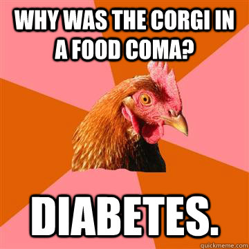 Why was the Corgi in a food coma? Diabetes. - Why was the Corgi in a food coma? Diabetes.  Anti-Joke Chicken