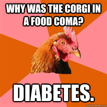 Why was the Corgi in a food coma? Diabetes.  Anti-Joke Chicken