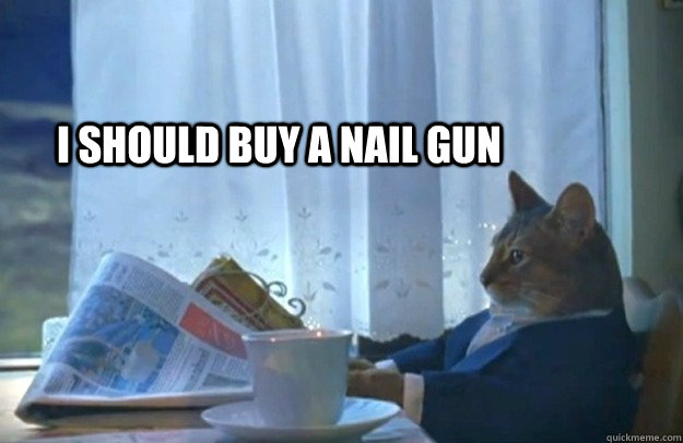 I should buy a nail gun  Sophisticated Cat