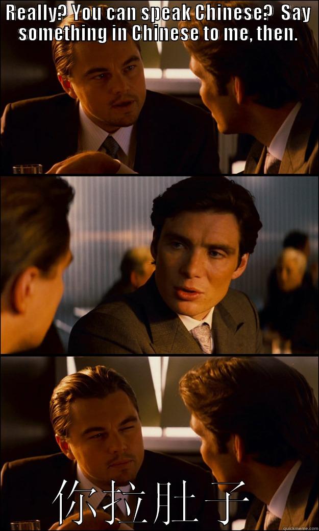REALLY? YOU CAN SPEAK CHINESE?  SAY SOMETHING IN CHINESE TO ME, THEN. 你拉肚子  Inception
