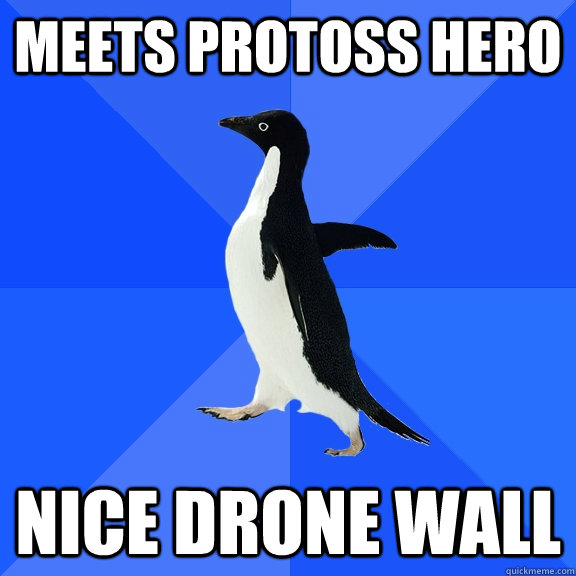 Meets protoss hero Nice drone wall  Socially Awkward Penguin