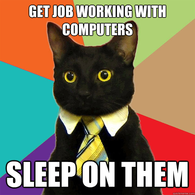 get job working with computers sleep on them  Business Cat