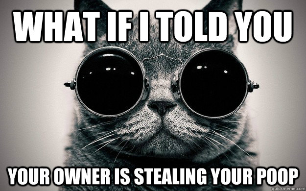 What if i told you Your owner is stealing your poop  Morpheus Cat Facts