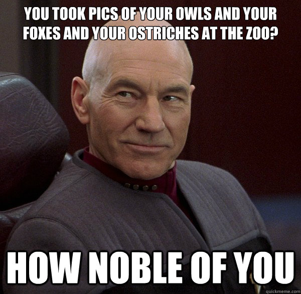 You took pics of your owls and your foxes and your ostriches at the zoo? How noble of you - You took pics of your owls and your foxes and your ostriches at the zoo? How noble of you  Picard Says