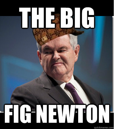 THE BIG  FIG NEWTON  Scumbag Gingrich