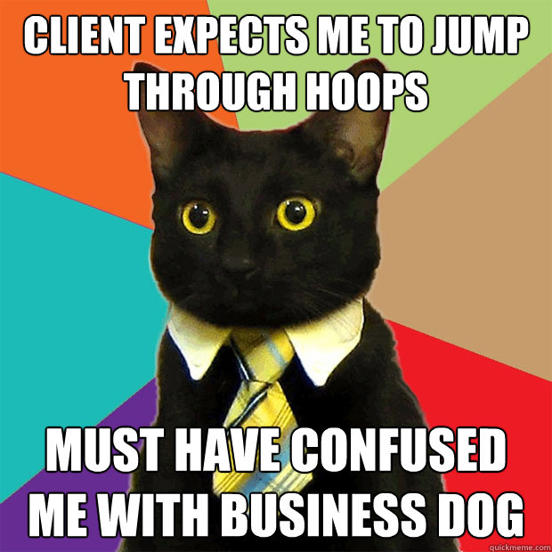 Client expects me to jump through hoops must have confused me with business dog  Business Cat