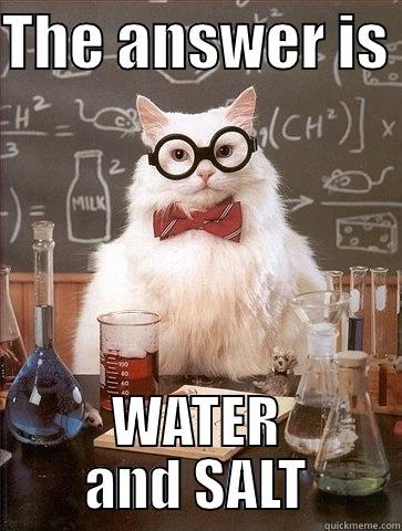THE ANSWER IS  WATER AND SALT Chemistry Cat