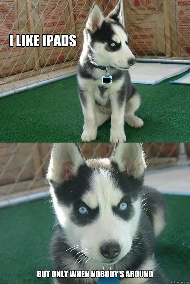 I like iPads But only when nobody's around  Insanity puppy