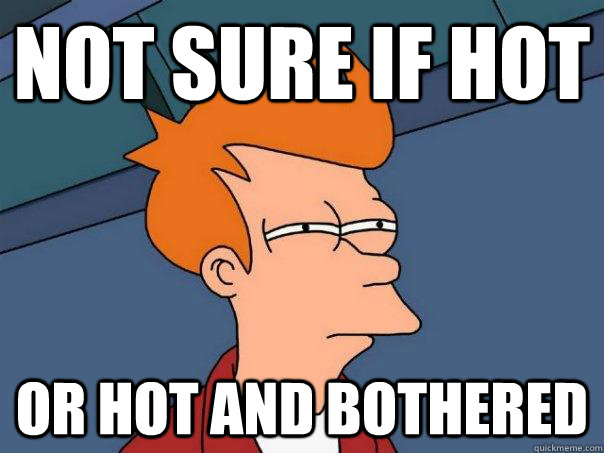 Not Sure If Hot Or Hot And Bothered Futurama Fry Quickmeme 