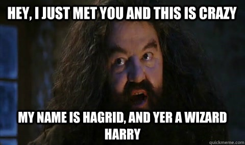 Hey, i just met you and this is crazy my name is hagrid, and yer a wizard harry  