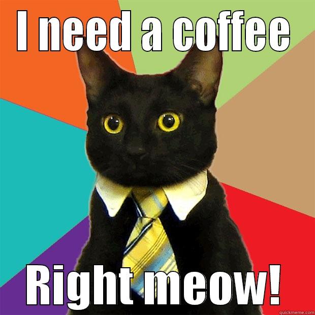 I NEED A COFFEE RIGHT MEOW! Business Cat