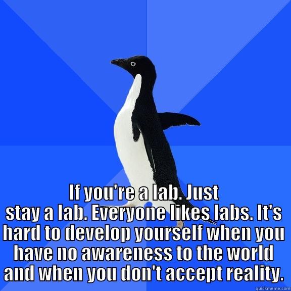  IF YOU'RE A LAB. JUST STAY A LAB. EVERYONE LIKES LABS. IT'S HARD TO DEVELOP YOURSELF WHEN YOU HAVE NO AWARENESS TO THE WORLD AND WHEN YOU DON'T ACCEPT REALITY. Socially Awkward Penguin