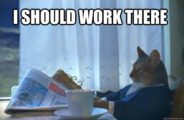 I should work there  Sophisticated Cat