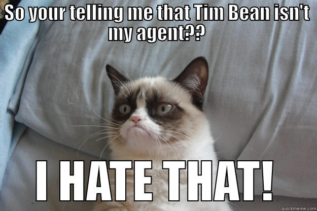 SO YOUR TELLING ME THAT TIM BEAN ISN'T MY AGENT?? I HATE THAT! Grumpy Cat