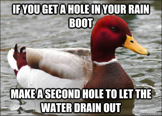 if you get a hole in your rain boot  make a second hole to let the water drain out  Malicious Advice Mallard