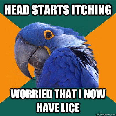 Head starts itching Worried that I now have lice  Paranoid Parrot