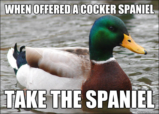 When offered a Cocker Spaniel Take the Spaniel  Actual Advice Mallard