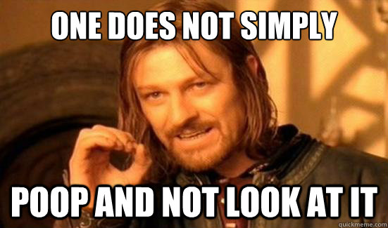 One Does Not Simply poop and not look at it  Boromir