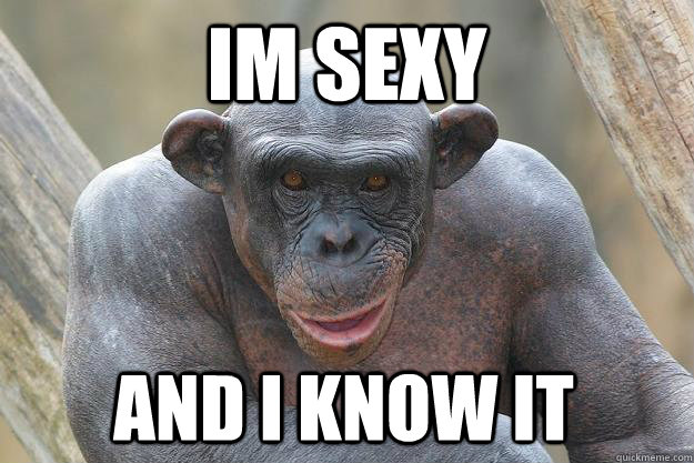 im sexy and i know it  The Most Interesting Chimp In The World