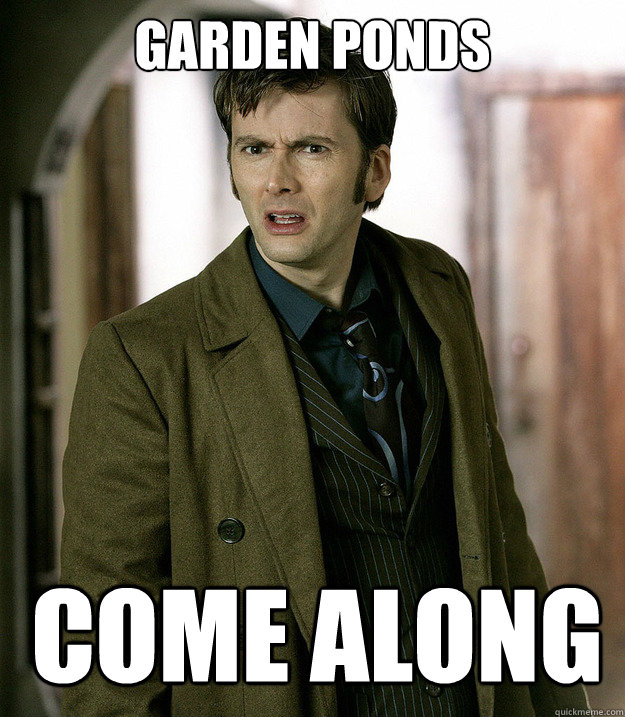 garden Ponds Come Along - garden Ponds Come Along  Doctor Who