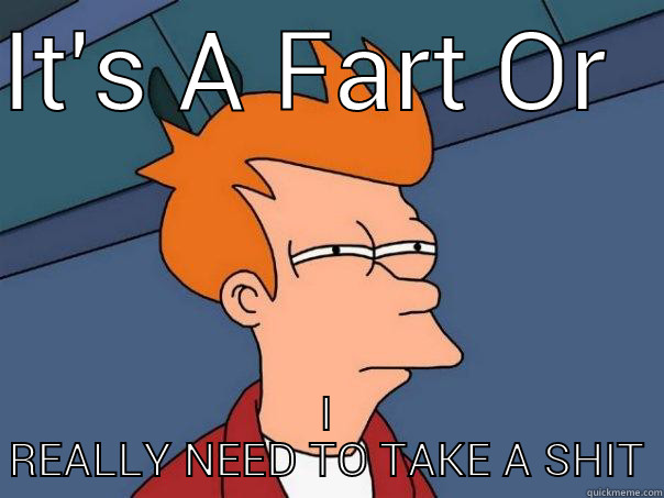 IT'S A FART OR  I REALLY NEED TO TAKE A SHIT Futurama Fry