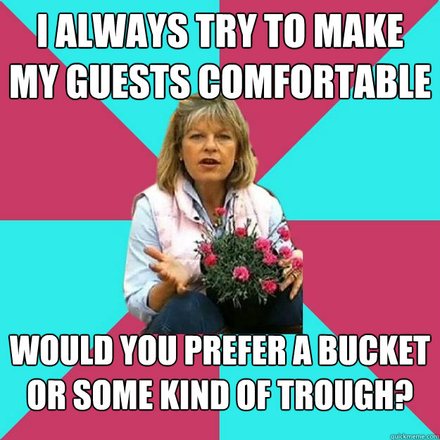 I always try to make my guests comfortable Would you prefer a bucket or some kind of trough? - I always try to make my guests comfortable Would you prefer a bucket or some kind of trough?  SNOB MOTHER-IN-LAW