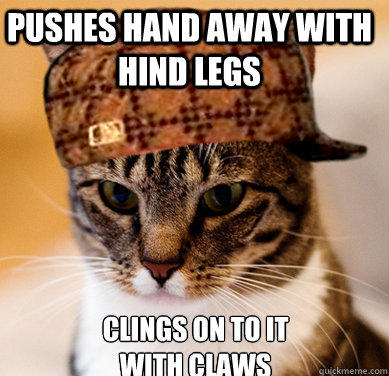 pushes hand away with hind legs clings on to it with claws  Scumbag Cat