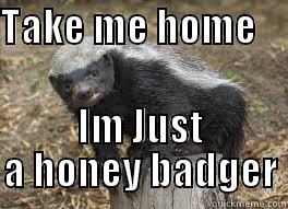 TAKE ME HOME       IM JUST A HONEY BADGER Misc