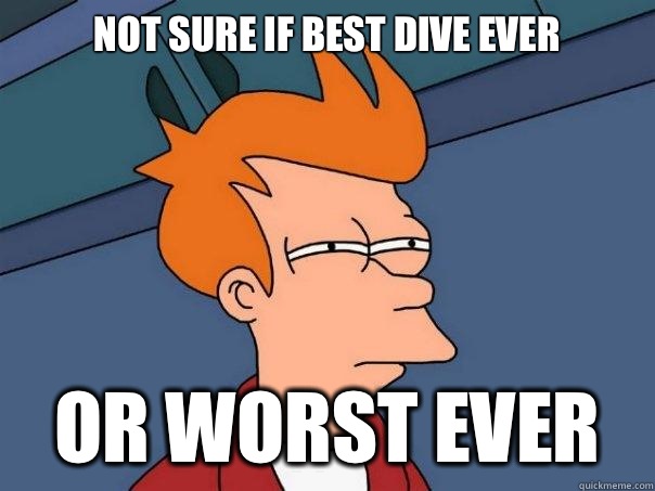 Not sure if best dive ever Or worst ever  Futurama Fry