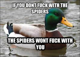 If you dont fuck with the spiders The spiders wont fuck with you  Good Advice Duck