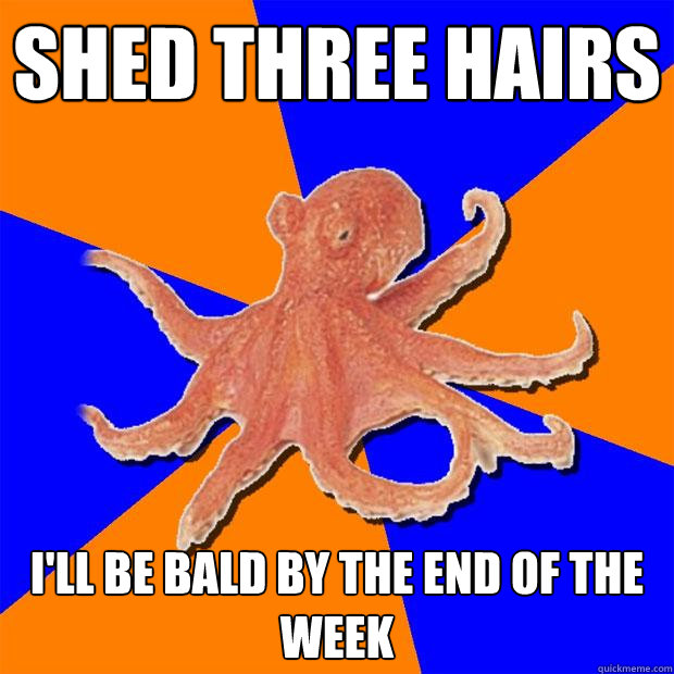 shed three hairs i'll be bald by the end of the week - shed three hairs i'll be bald by the end of the week  Online Diagnosis Octopus
