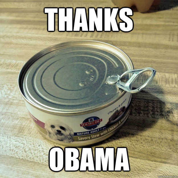 thanks obama  