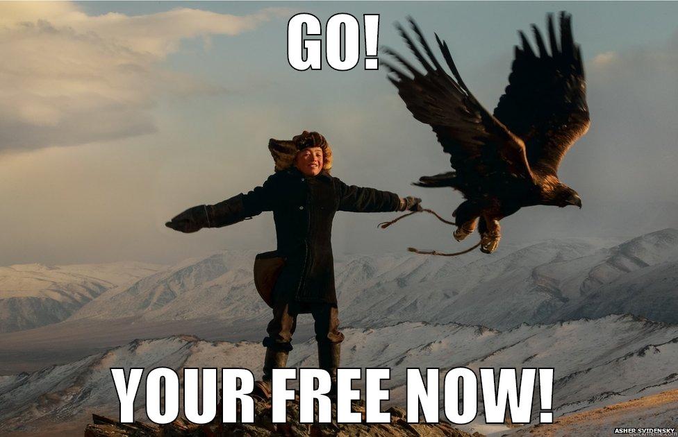 GO! YOUR FREE NOW! Misc