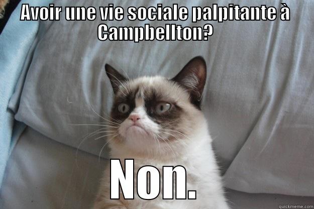 AVOIR UNE VIE SOCIALE PALPITANTE À CAMPBELLTON? NON. Grumpy Cat