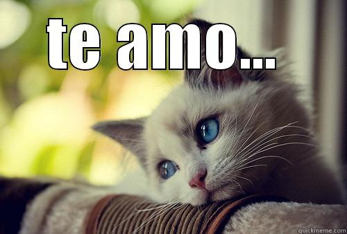 TE AMO...   First World Problems Cat
