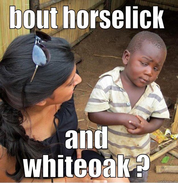 BOUT HORSELICK AND WHITEOAK ? Skeptical Third World Kid