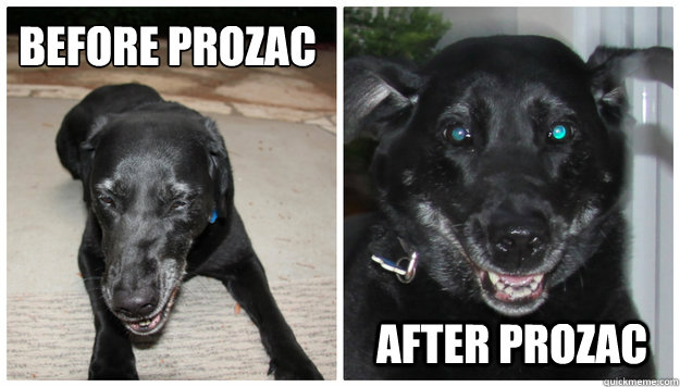 BEfore prozac
 after prozac  