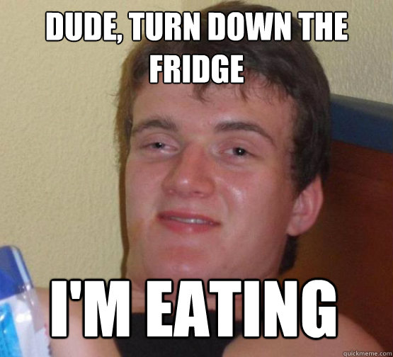 dude, turn down the fridge i'm eating  stoner guy