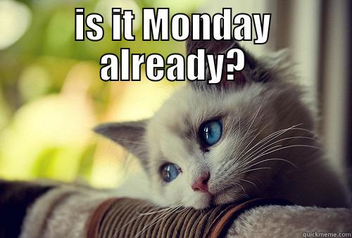 IS IT MONDAY ALREADY?  First World Problems Cat