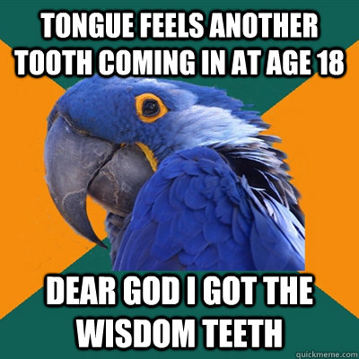 Tongue feels another tooth coming in at age 18 Dear God I got the wisdom teeth  Paranoid Parrot