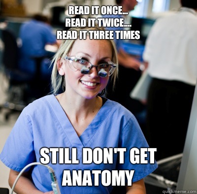 read it once...
     read it twice....
          read it three times
 Still don't get ANATOMY  overworked dental student