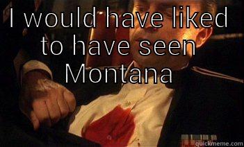  I WOULD HAVE LIKED TO HAVE SEEN MONTANA Misc